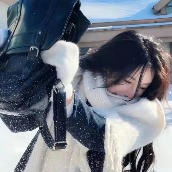 百炼霸王与圣约女武神
