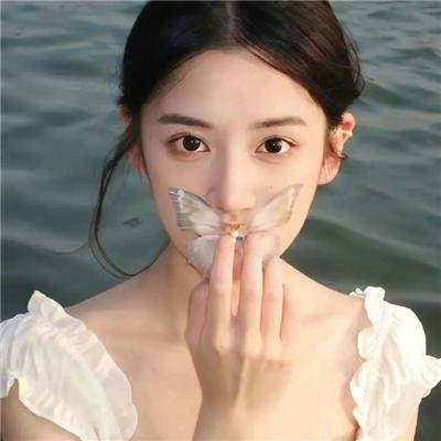 北极征熊记
